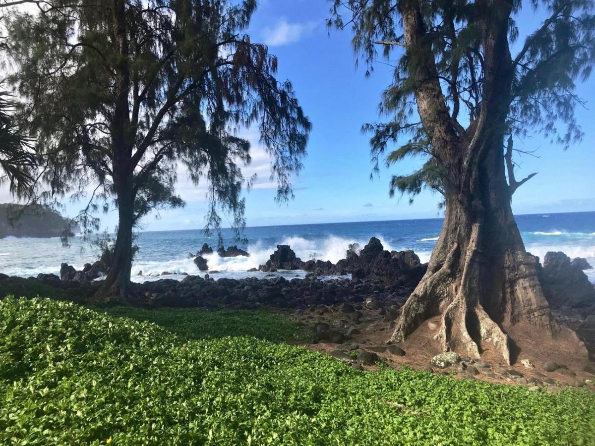 Unwind On Your Fantasy Hawaiian Vacation- 1Bd/1Ba Condo In Kailua-Kona, Hawaii Extérieur photo